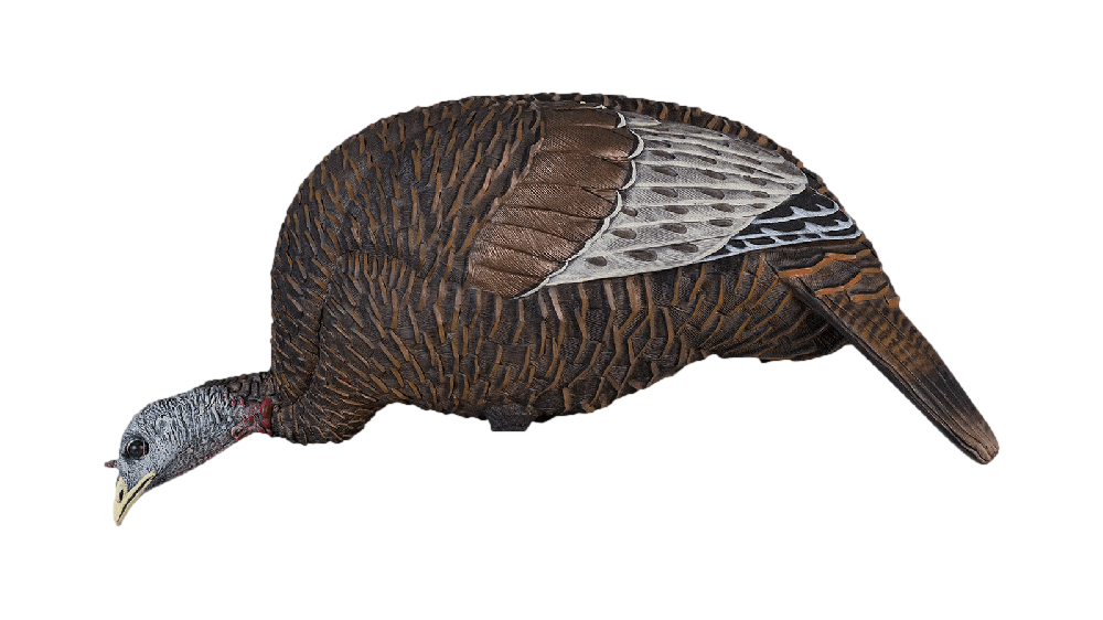 Appelants de dindon Thunder Chick Feeder par Flextone