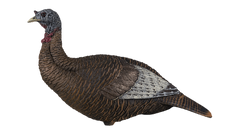 Appelant Thunder Chick Upright par Flextone