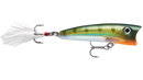 X-Rap Popper de Rapala