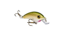 Bitsy Minnow 1.25" de Strike King