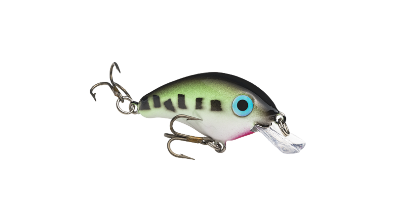 Bitsy Minnow 1.25" de Strike King