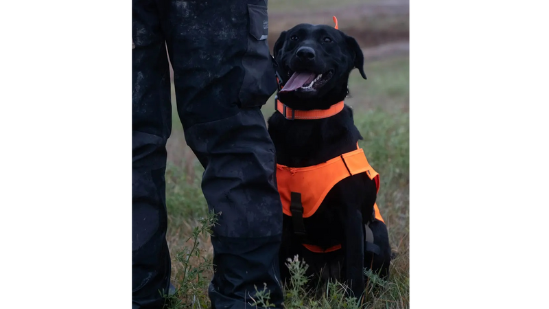 Dossard pour chien Browning